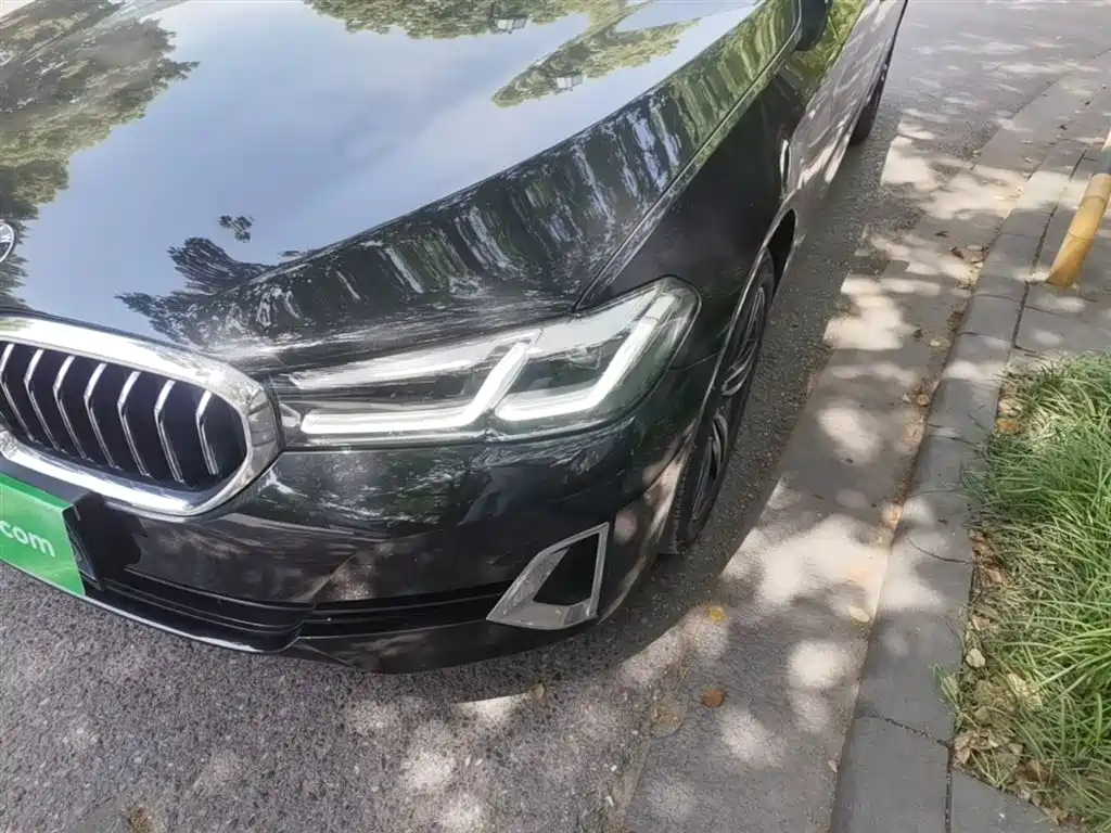 BMW 5 Series 2021 530Li Leading Luxury Package фото 24