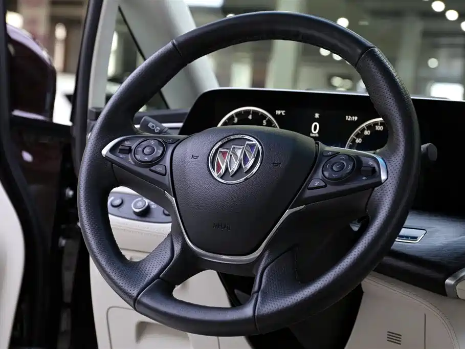 Buick GL8 2020 Avenir Six-Seat Elegance Edition фото 13