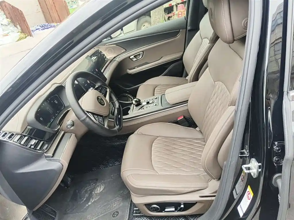 BYD Han 2020 DM AWD Performance Premium фото 15