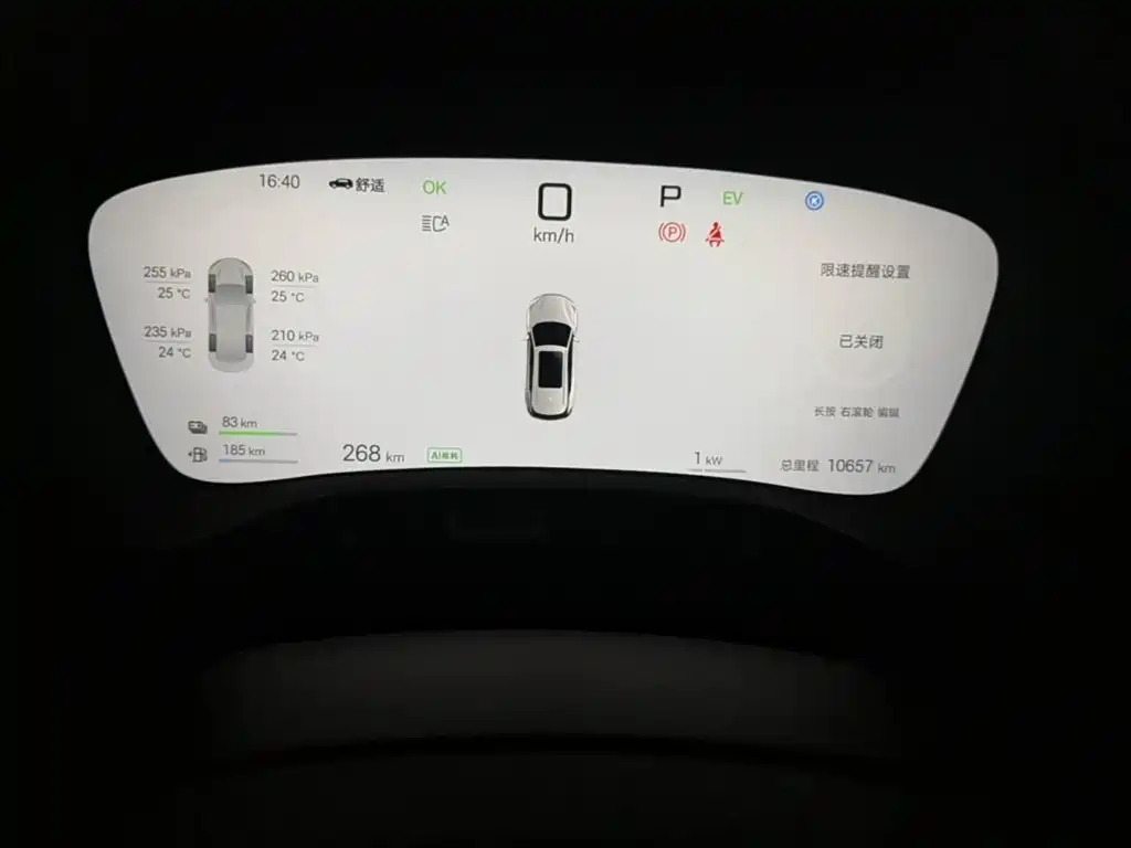 BYD Tang New Energy 2025 2025 Smart Driving Edition DM-i 115KM Flagship