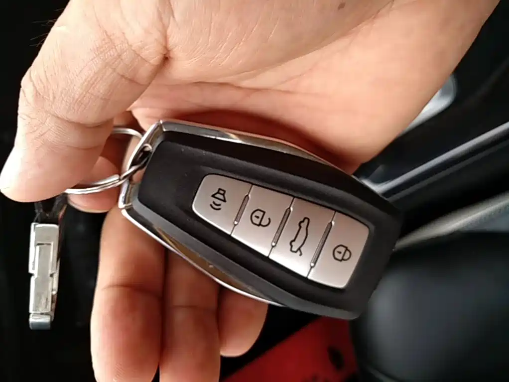 Geely Geometry E Firefly 2024 2024 Model 301km Starlight