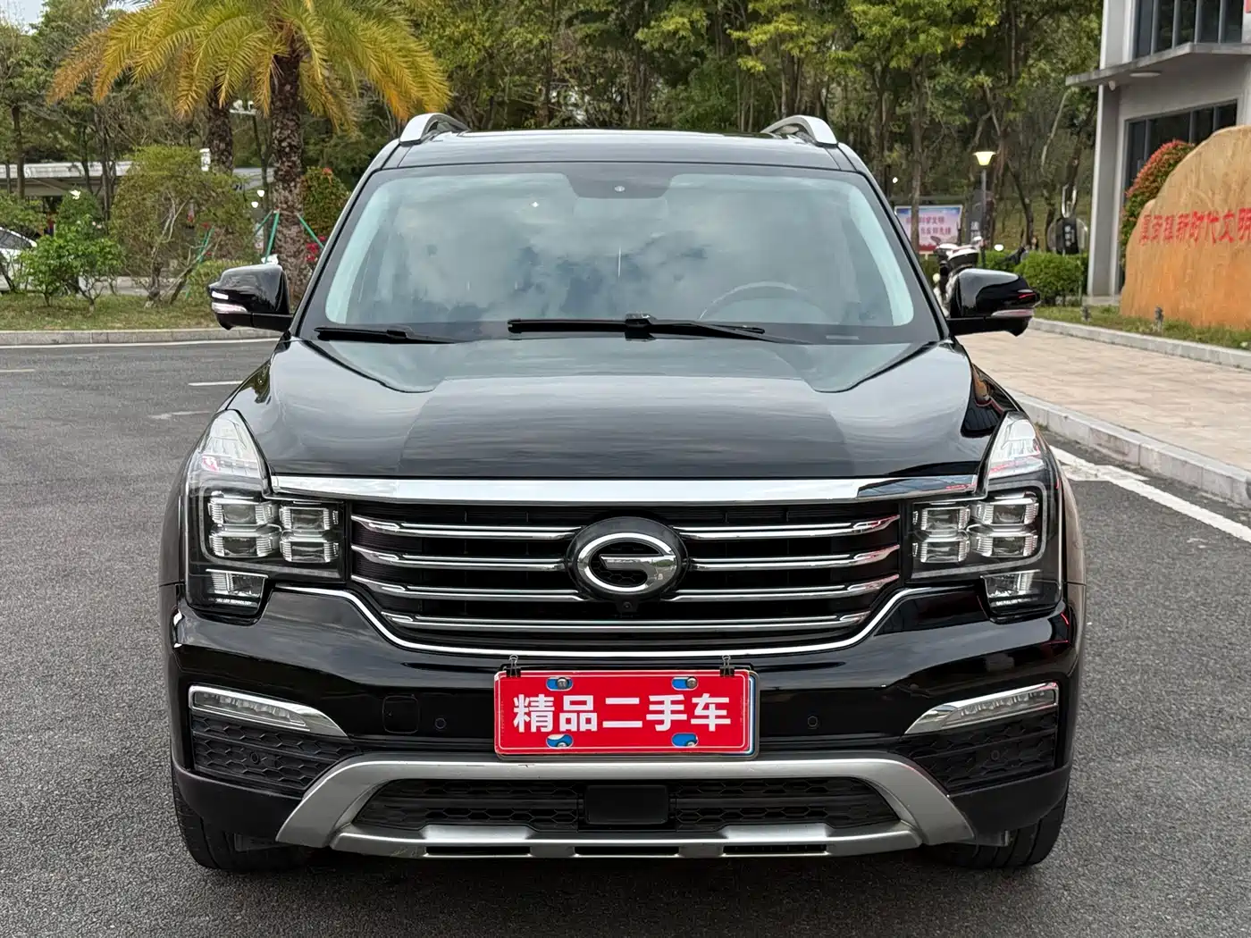 GAC Trumpchi Trumpchi GS8 2017 320T 2WD Luxury Smart Connect (7-seater) фото 2