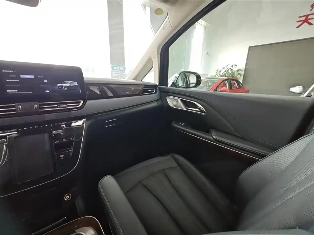 Hongqi HQ9 PHEV 2024 Model 2.0T AWD Luxury Edition фото 5