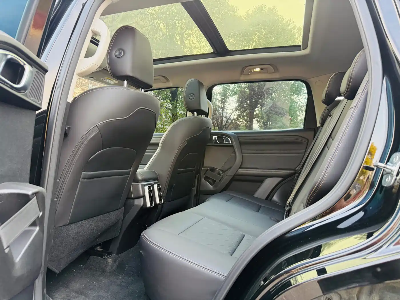 Haval Big Dog 2024 1.5T DCT Border Collie Edition фото 7