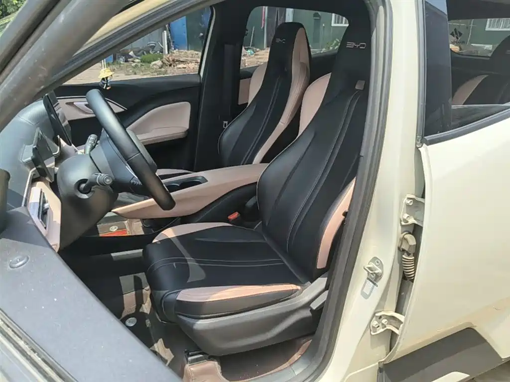BYD Seagull 2023 Freedom Edition фото 15