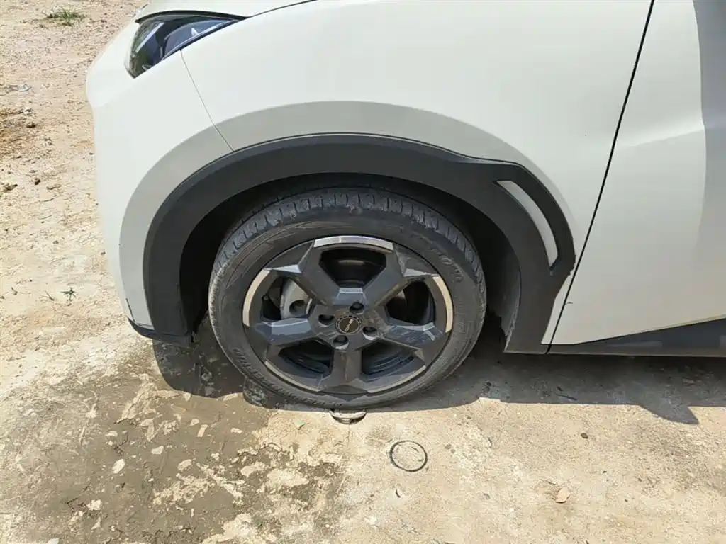BYD Seagull 2023 Freedom Edition фото 23