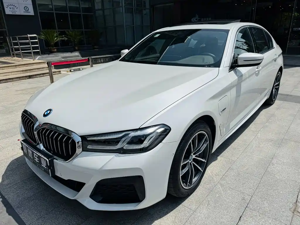 BMW 5 Series New Energy 2022