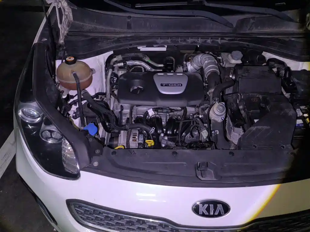 Kia KX5 2017 1.6T Automatic 2WD 15th Anniversary Special DLX фото 13