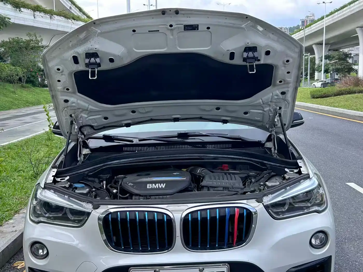 BMW X1 New Energy 2018 2018 xDrive25Le Luxury Model