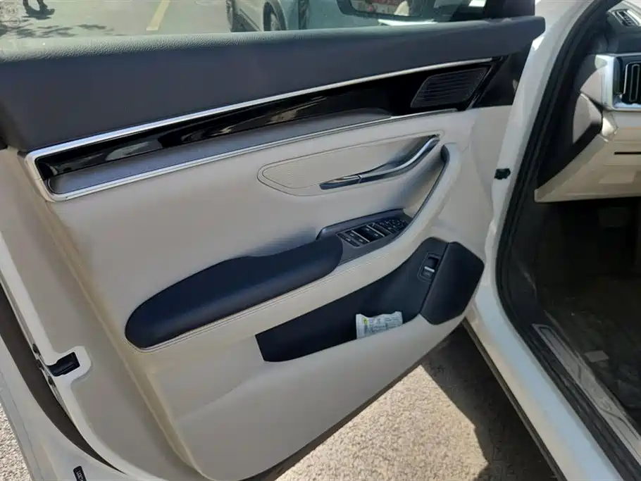 BYD SONGJIANG NEW ENERGY