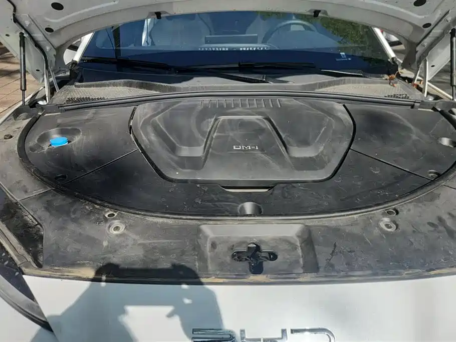 BYD SONGJIANG NEW ENERGY