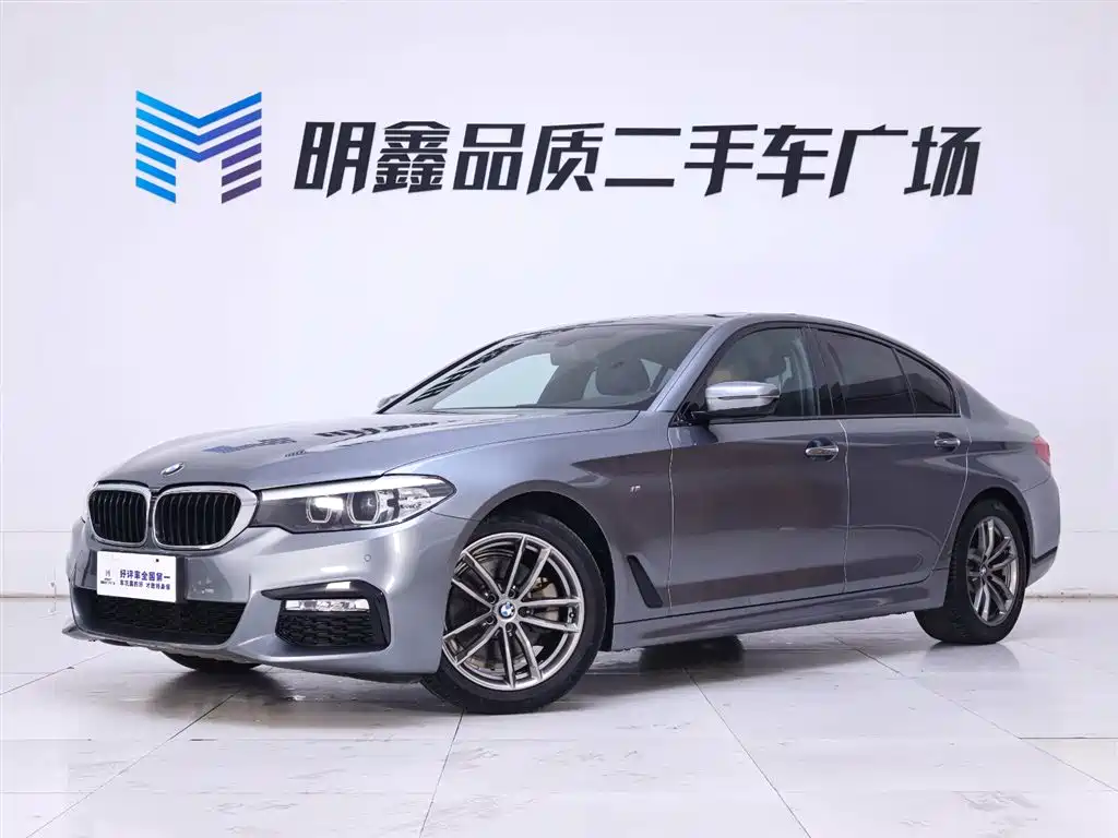 BMW 5 Series (Import) 2018 525i M Sport Package фото 2