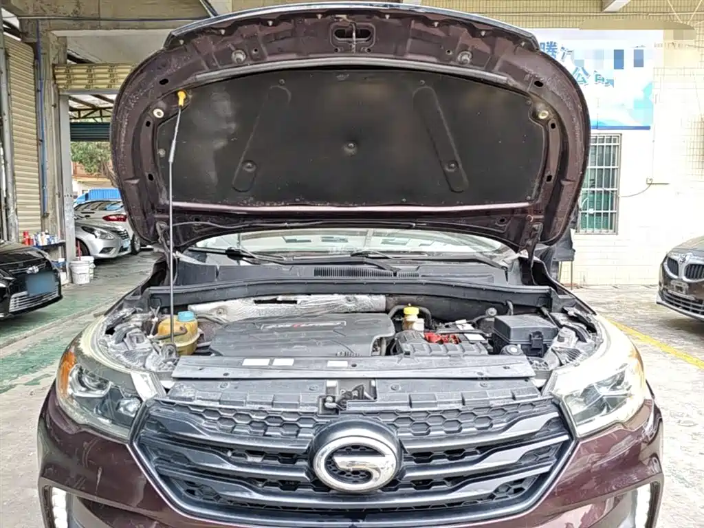 GAC Trumpchi Trumpchi GS4 2016 235T G-DCT Elite Edition фото 20