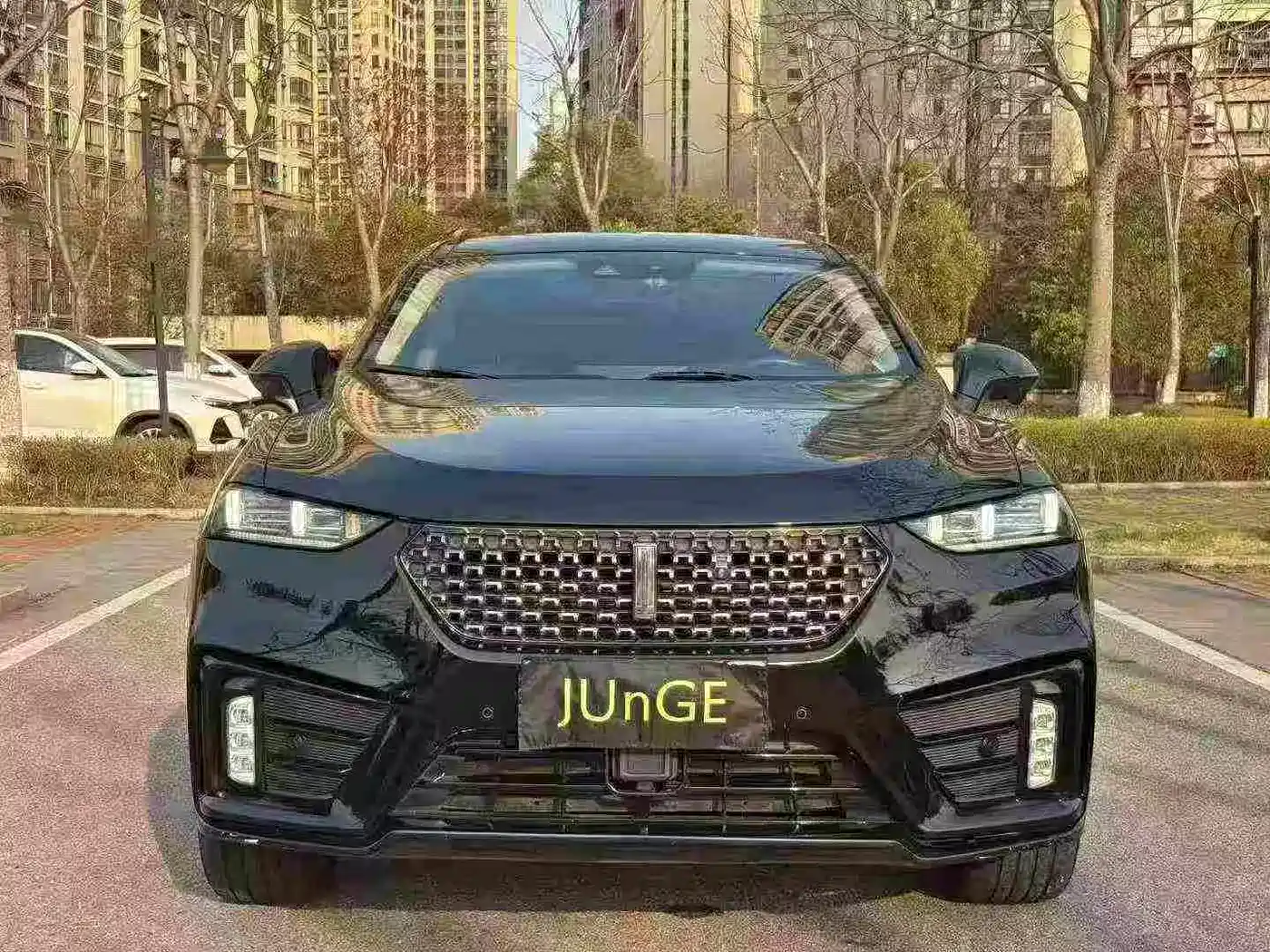 WEY VV7 2020 2020 2.0T Super Luxury