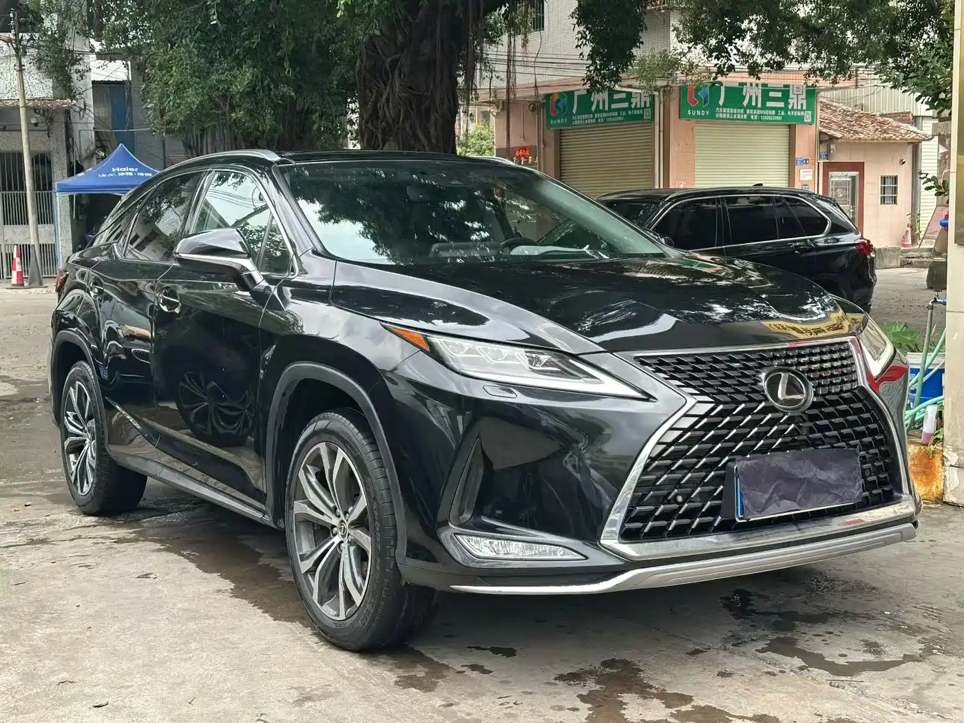 Lexus RX 2020 300 4WD Elegance Edition China VI фото 3