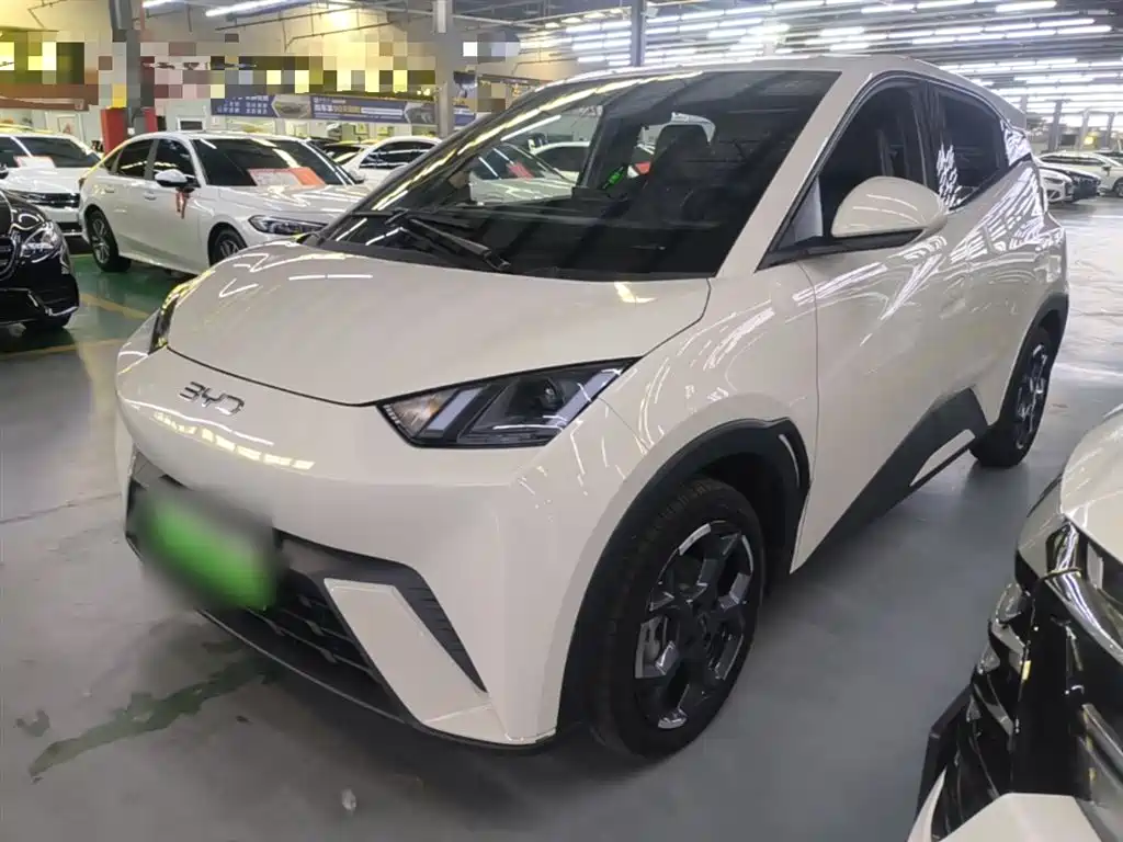 BYD Seagull 2024 Glory Edition 305km Freedom Edition