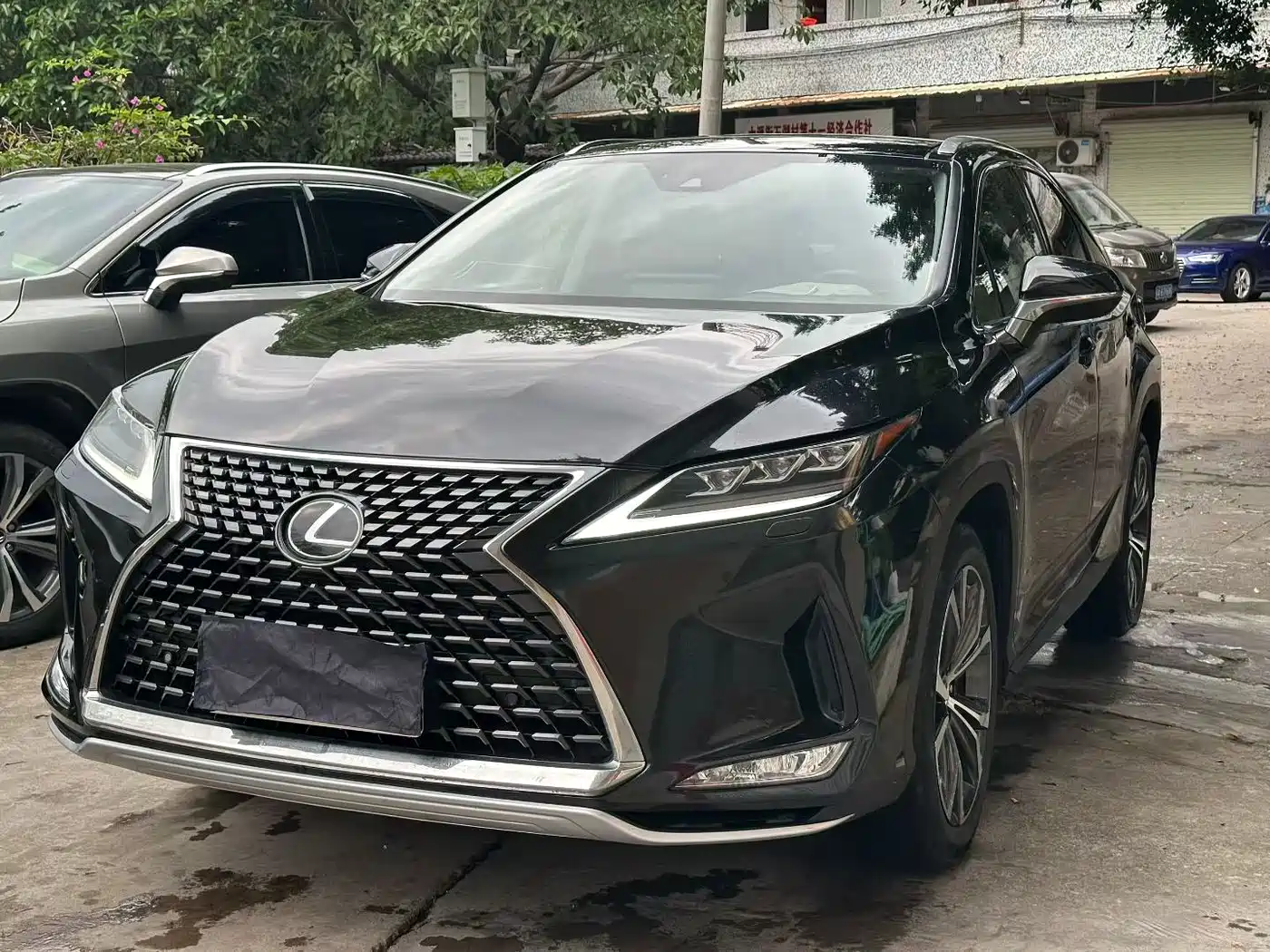 Lexus RX 2020 300 4WD Elegance Edition China VI