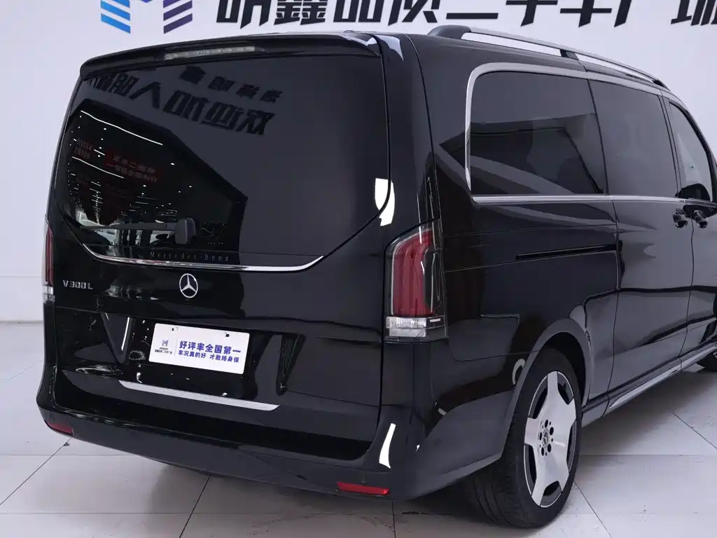 Mercedes-Benz V-Class 2025 2024 V 300 L Long Wheelbase Luxury Edition