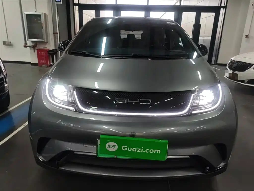 BYD Dolphin 2023 420km Fashion Edition фото 3