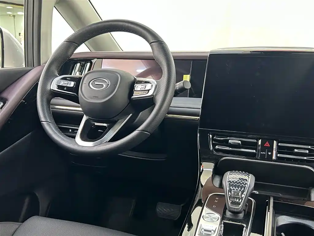 GAC Trumpchi Trumpchi M8 2024 Master Series Super Hybrid фото 17