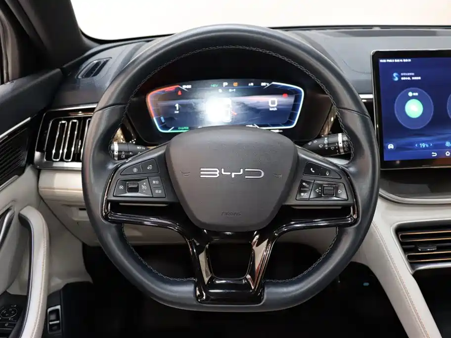 BYD SONGJIANG NEW ENERGY