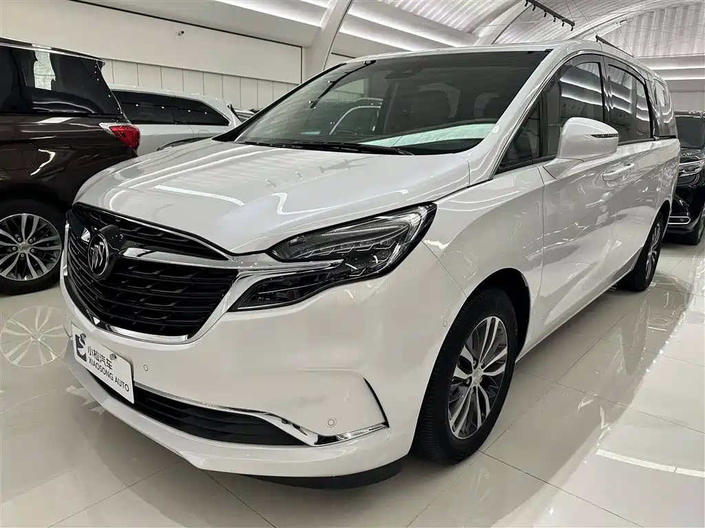 Buick GL8 2022 ES Landmark 653T Premium