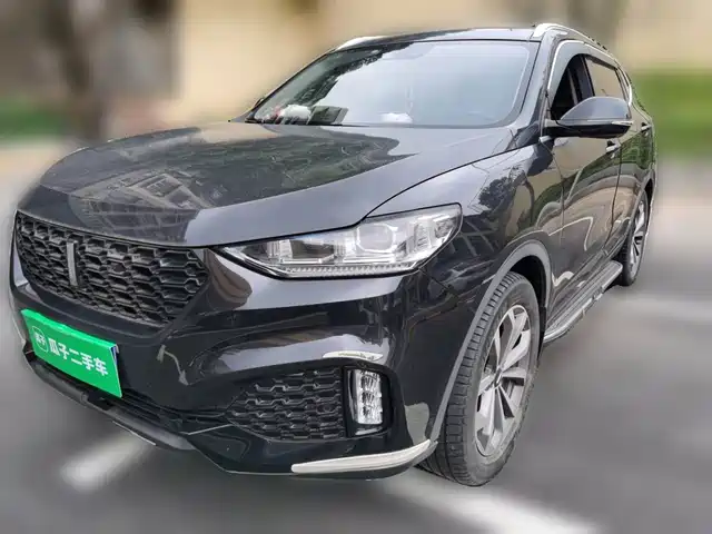 WEY VV6 2019
