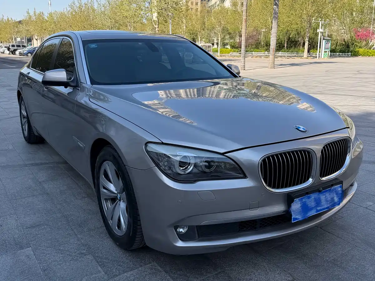 BMW 7 Series 2011 730Li Elegance фото 7