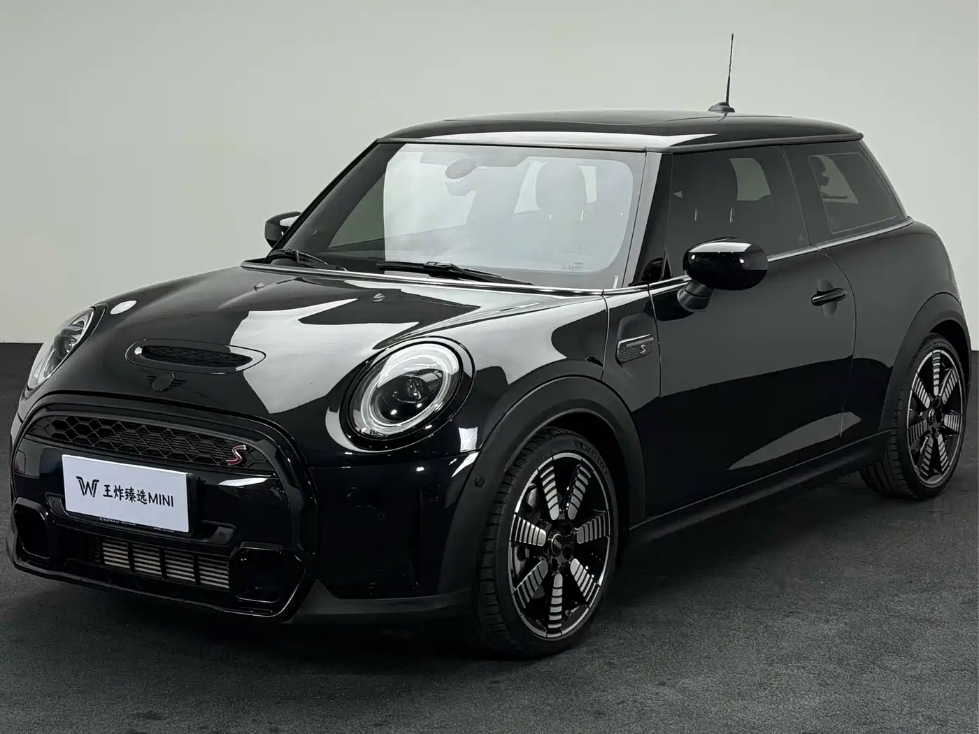 MINI 2023 2.0T COOPER S Artist