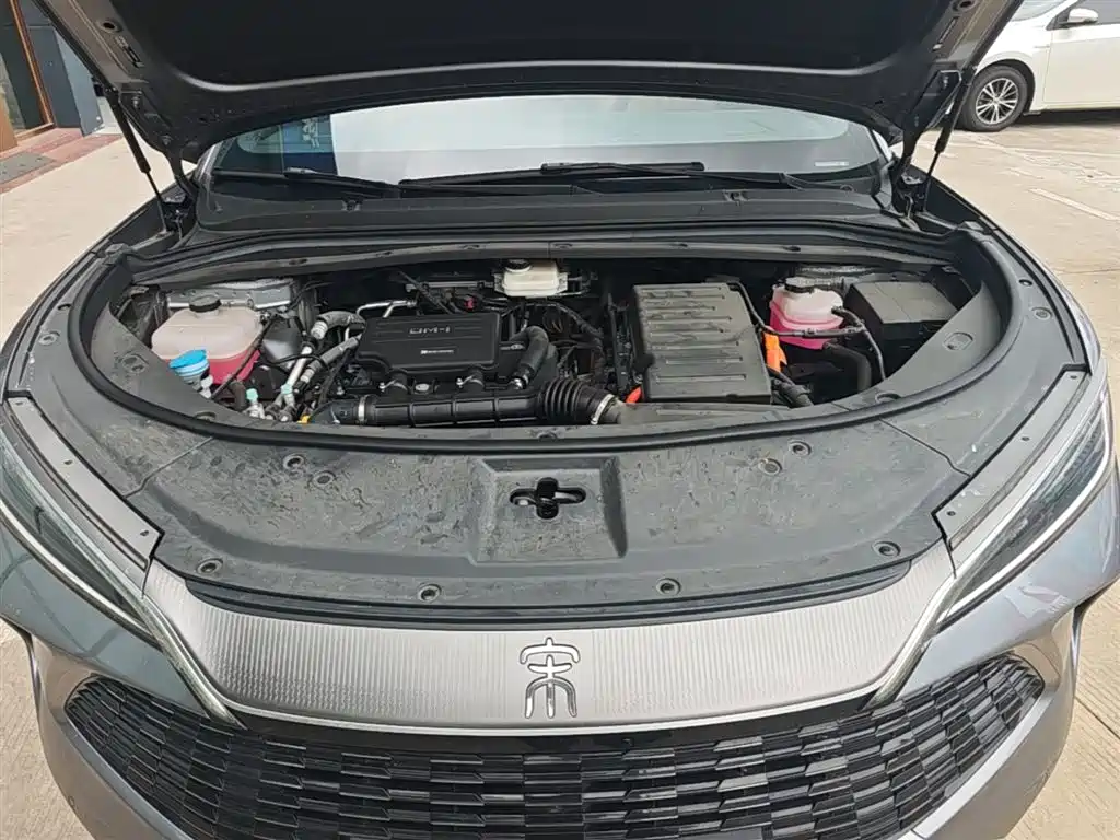 BYD Song L DM-i 2024 112km Leading Edition фото 20