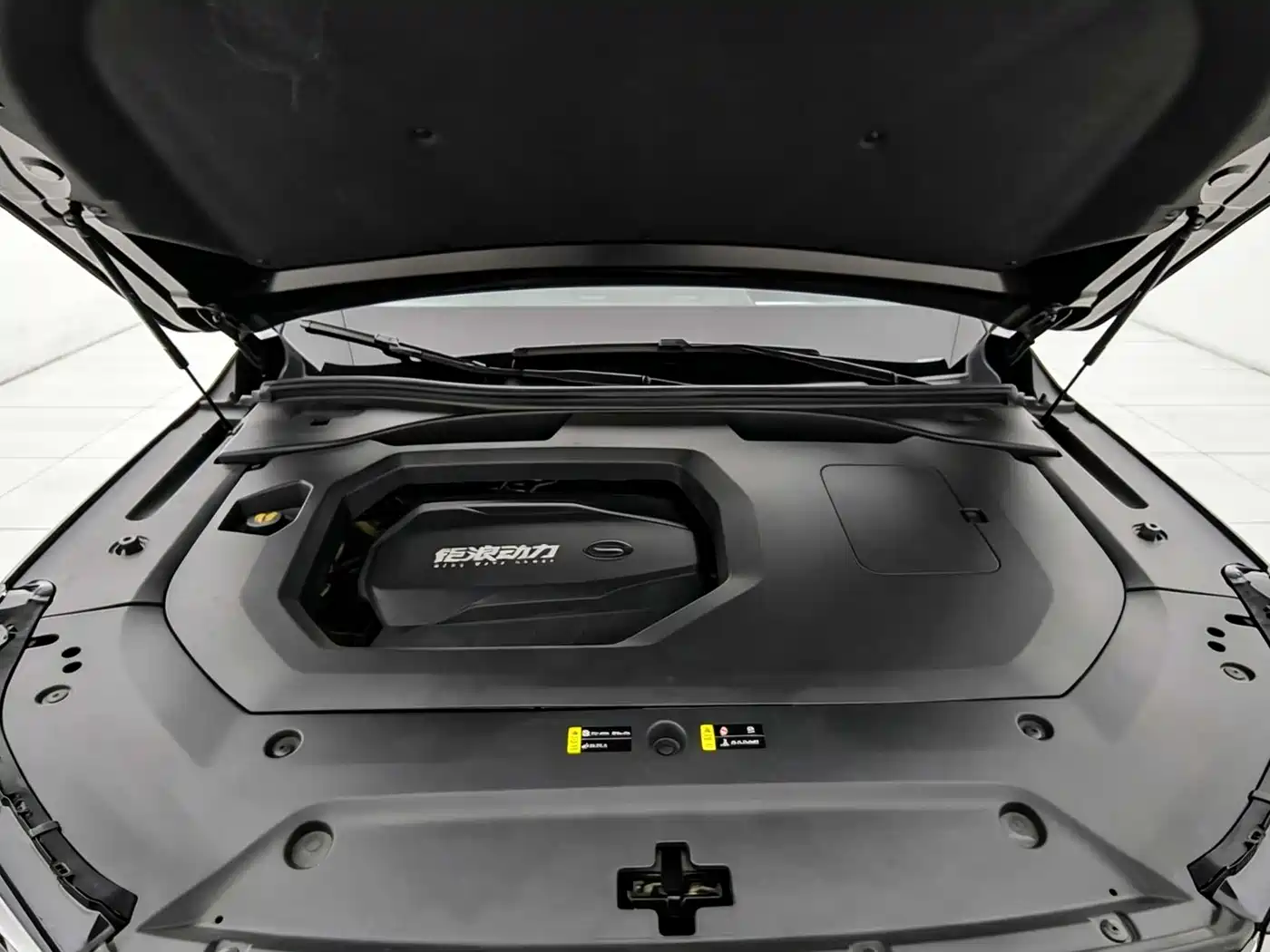 GAC Trumpchi Trumpchi GS8 2022 Pilot Series 2.0TGDI 4WD Ultimate Edition (6-Seater) фото 10