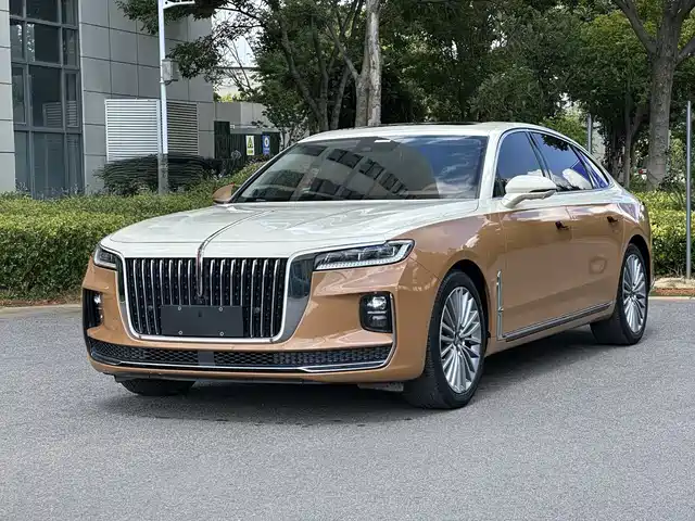 Hongqi H9 2020 2.0T Smart Connection Qi Chang Edition