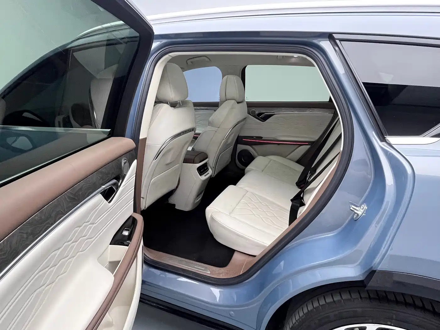 Voyah Auto VOYAH FREE 2021 AWD Standard Range Extender Exclusive Luxury Package фото 14