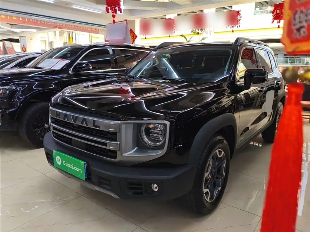 Haval Big Dog 2024 2.0T DCT Chinese Rural Dog Edition