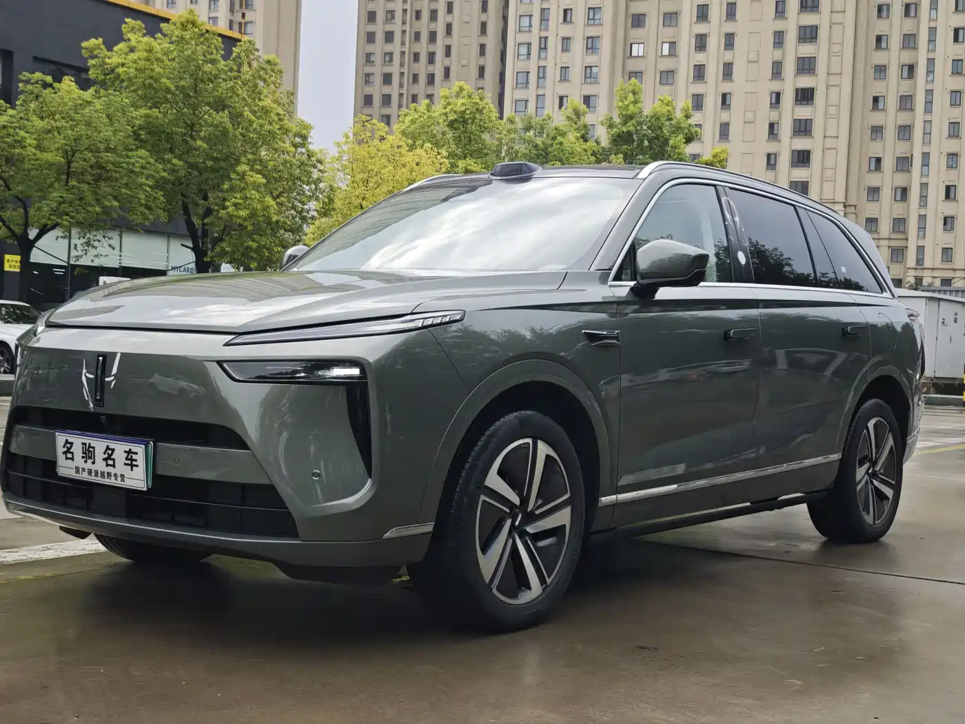 WEI PAI WEI BRAND BLUE MOUNTAIN