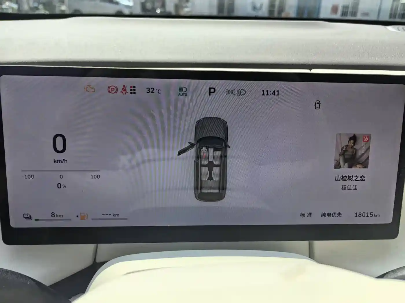 WEI PAI WEI BRAND BLUE MOUNTAIN