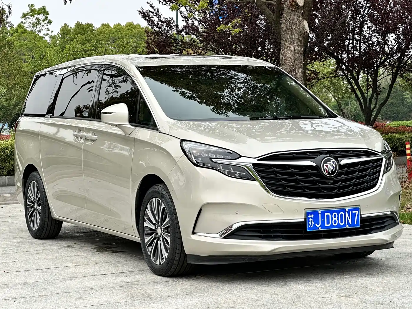 Buick GL8 2021 ES Landlord 653T Luxury фото 3