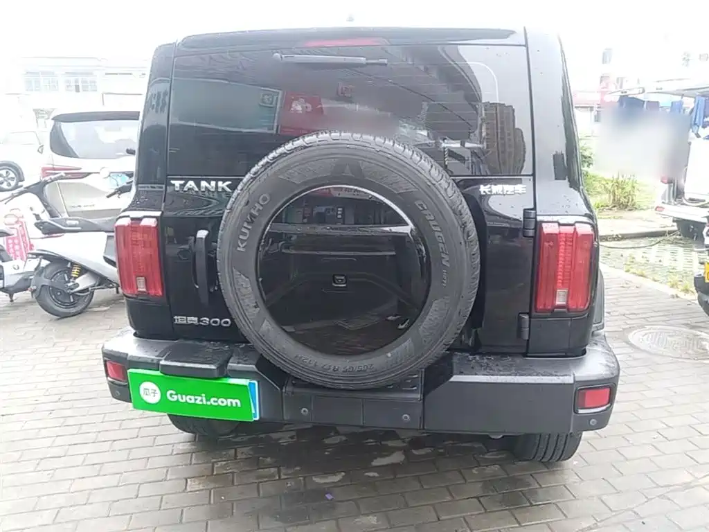 Tank 300 2023 Off-Road Edition 2.0T Conqueror фото 6