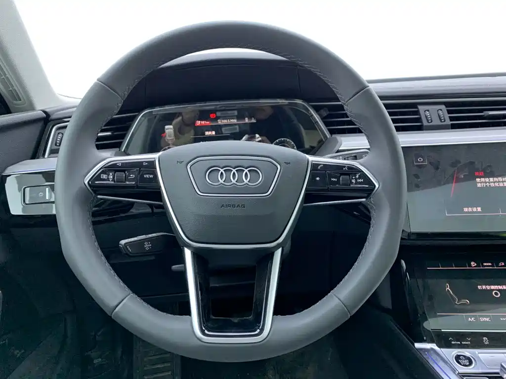Audi e-tron 2026 2021 50 quattro Luxury