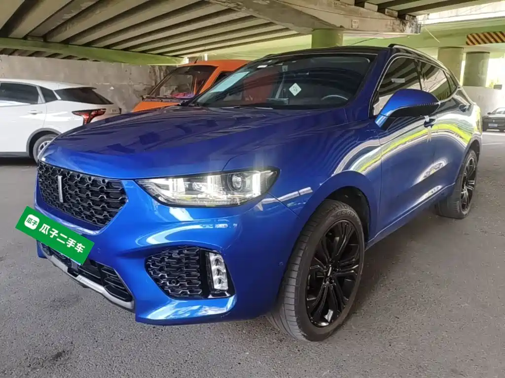 WEY VV5 2017 2017 2.0T Flagship Model