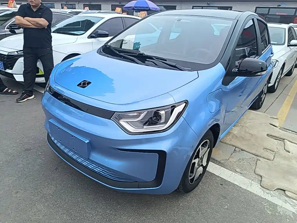 Sehol Flower Fairy 2021 302km Surpass Edition 31.4kWh