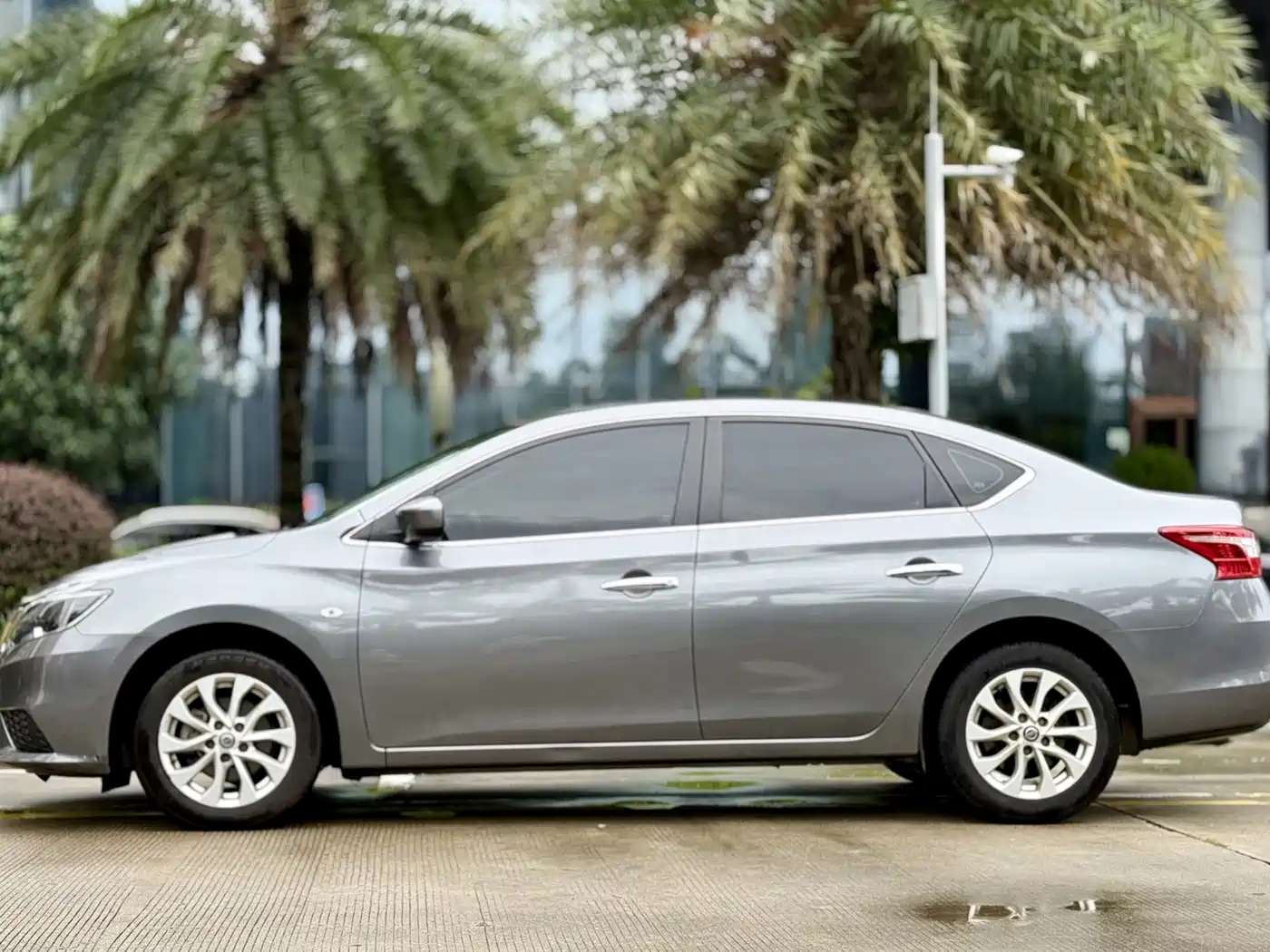 Фото 12 - Nissan Sylphy