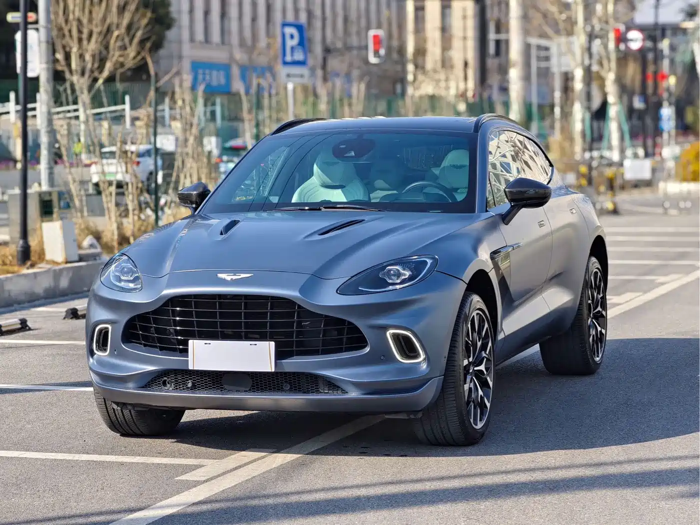  Aston Martin Aston Martin DBX 2021 4.0T V8 Chase of Sky and Sea