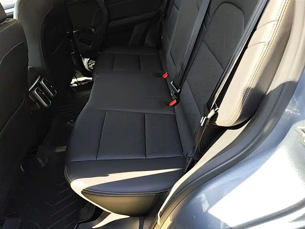 Haval Big Dog 2021 2.0T DCT 2WD Chinese Hound Edition фото 24