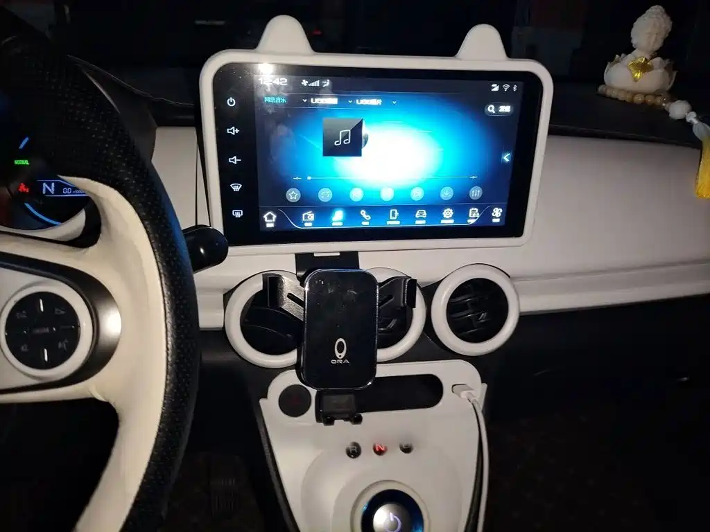 Ora Black Cat 2022 2022 Facelift 301km Pet Edition LFP Version