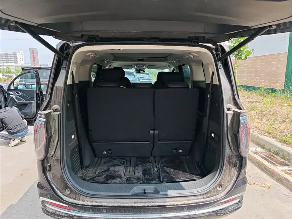 Hongqi HQ9 PHEV 2024 Model 2.0T AWD Business Edition фото 19