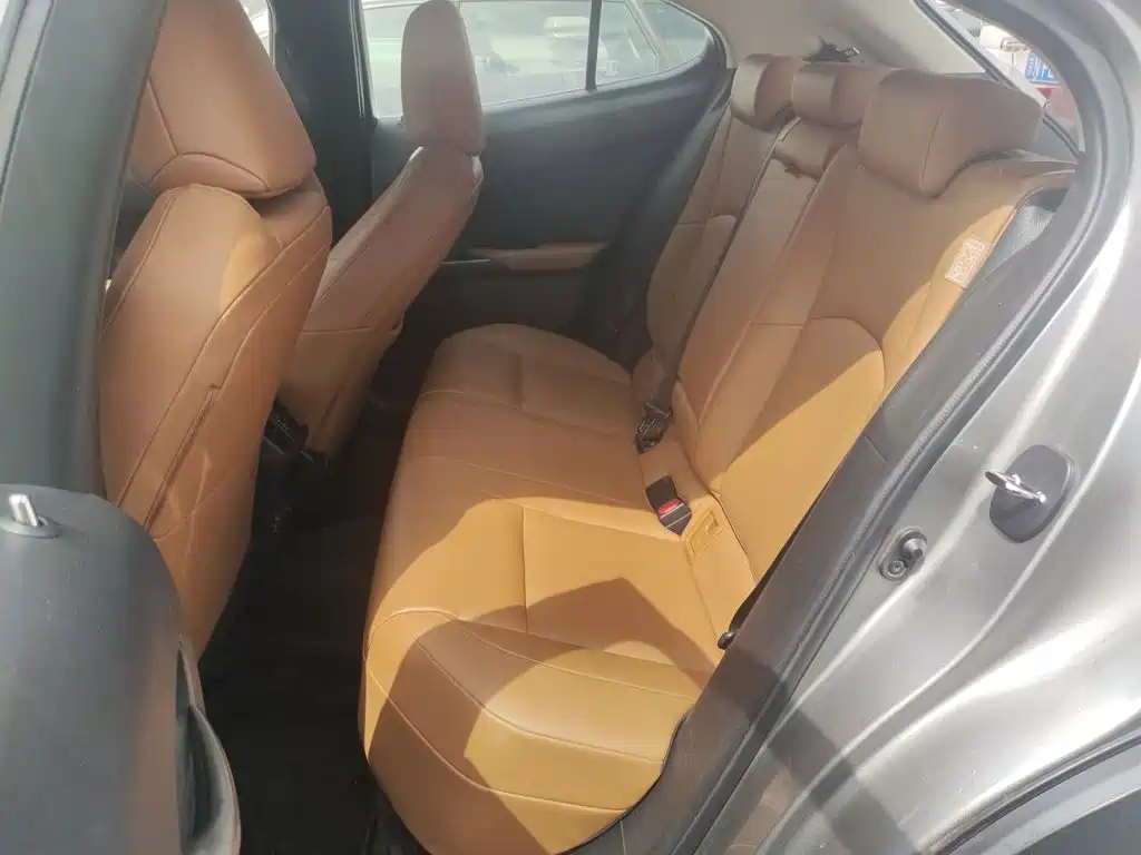 Lexus UX Electric 2021 2020 300e Pure Yue Edition