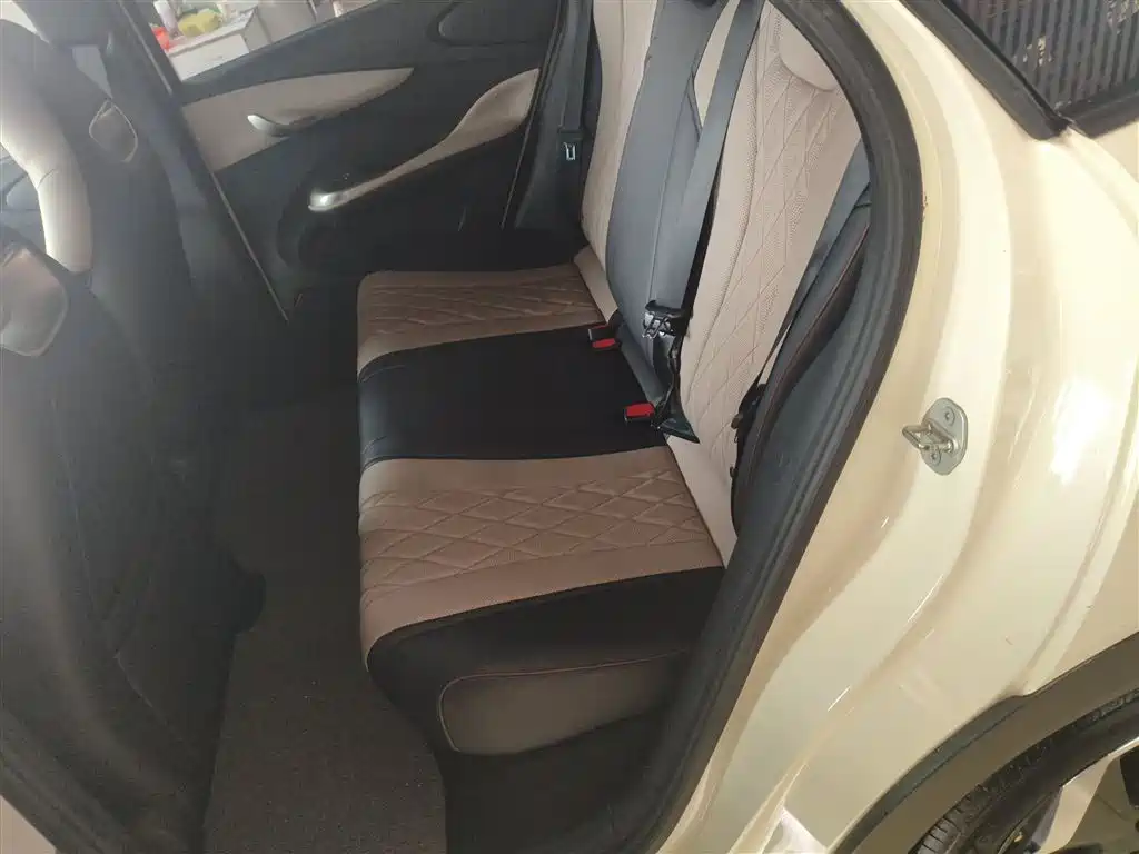 BYD Dolphin 2021 Model 405km Fashion Edition фото 17