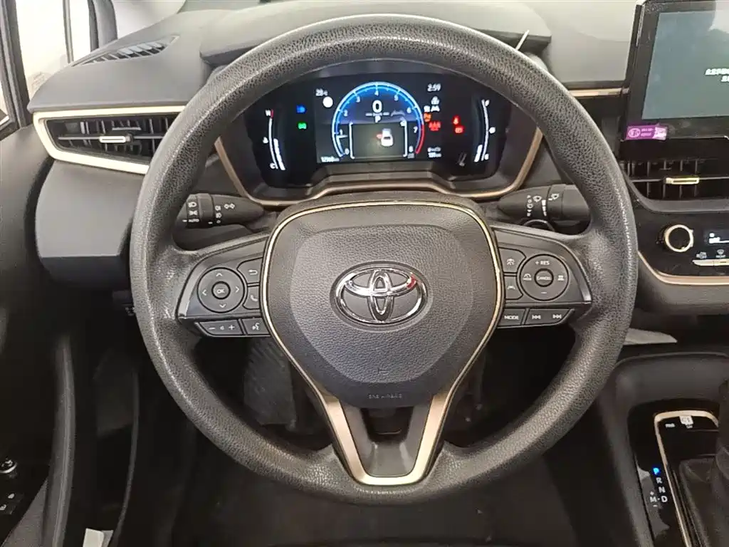 TOYOTA ASIAN LION