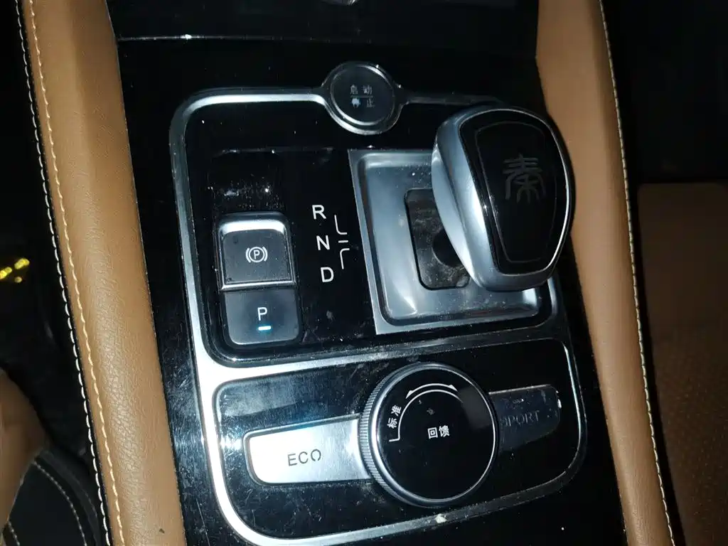 BYD Qin New Energy 2018 Qin EV450 Smart Connected Premium Edition фото 7
